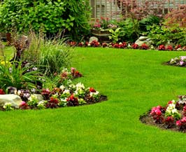 LANDSCAPE MAINTENANCE